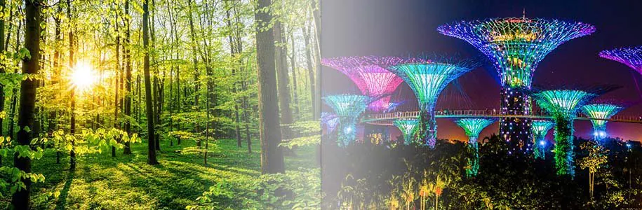 Natürliches Sonnenlicht versus künstliches Licht Natürliches Sonnenlicht versus künstliches Licht