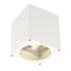 SLV Big Theo Plafond Spot Aluminium Blanc | Extérieur - IP44 - Convient pour 1x GU10 Max. 75W - Dimmable